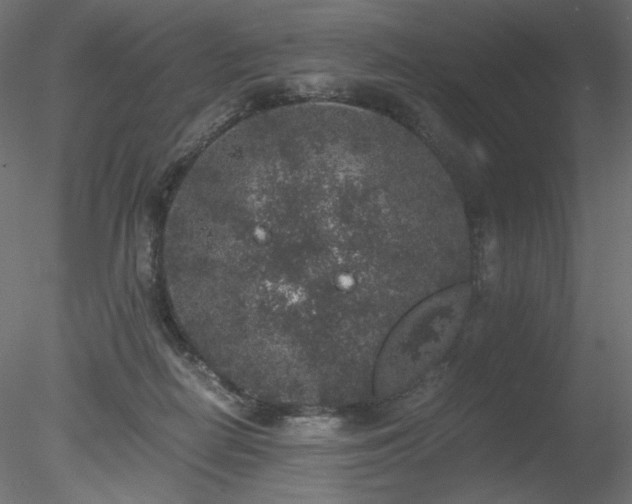 X0000078280266200611031216