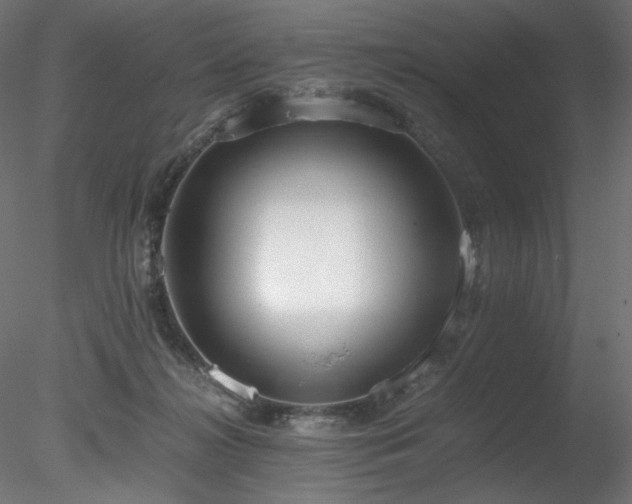 X0000078280268200611031216