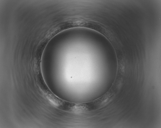 X0000078280270200611031216