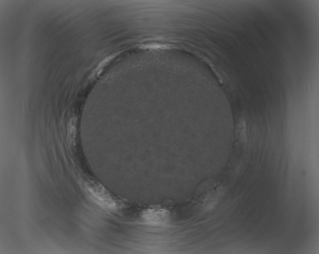 X0000078280271200611031216