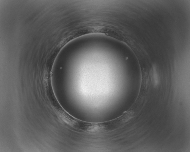 X0000078280274200611031216