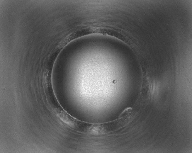 X0000078280275200611031216