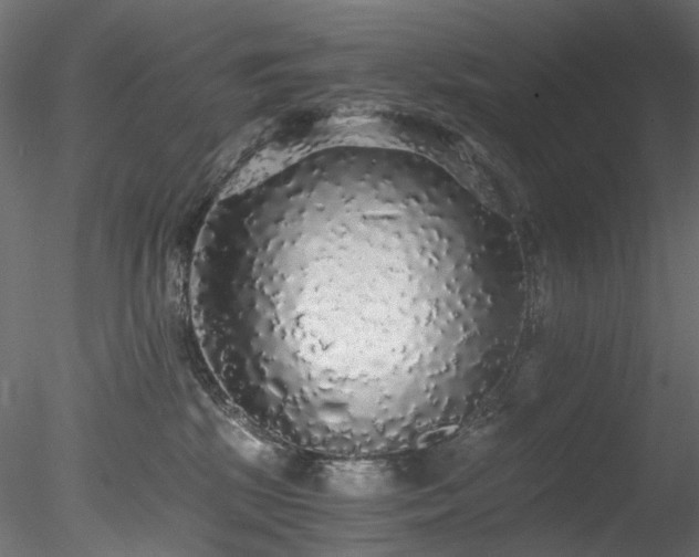 X0000078280281200611031216