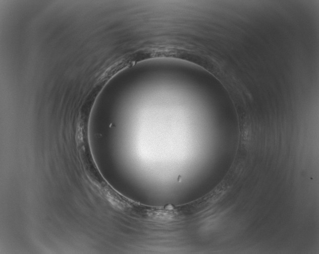 X0000078280282200611031216