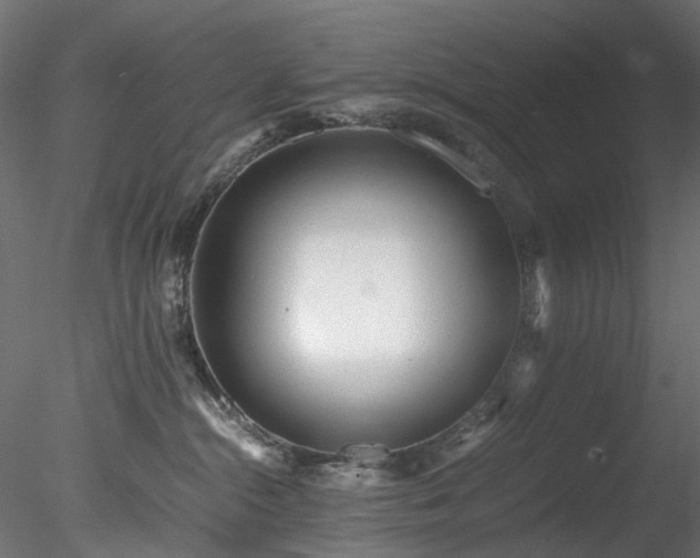 X0000078280284200611031216