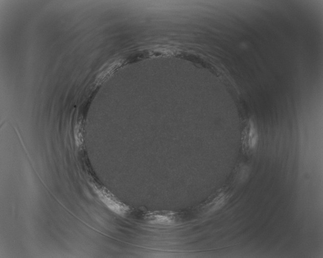 X0000078280285200611031216