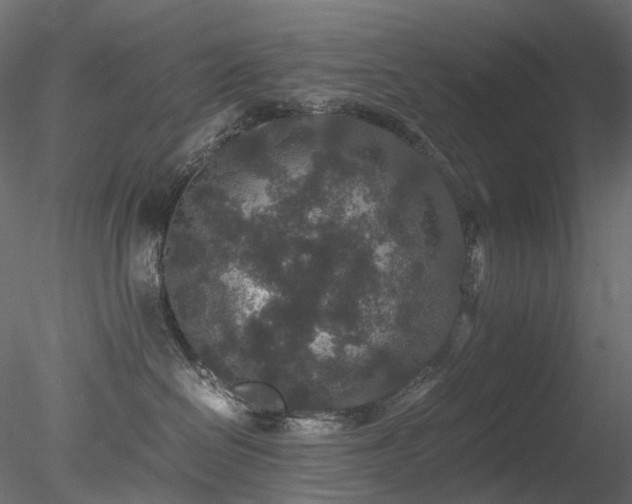 X0000078280286200611031216