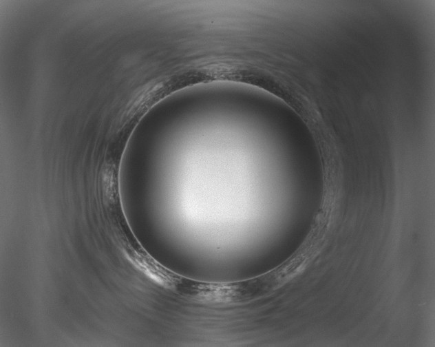 X0000078280288200611031216