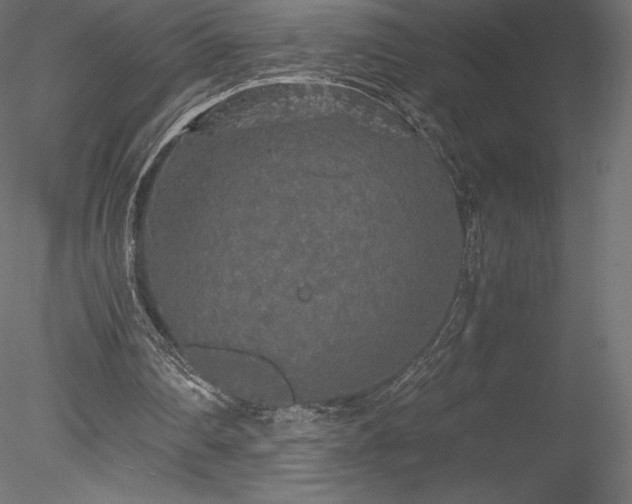 X0000078280290200611031215