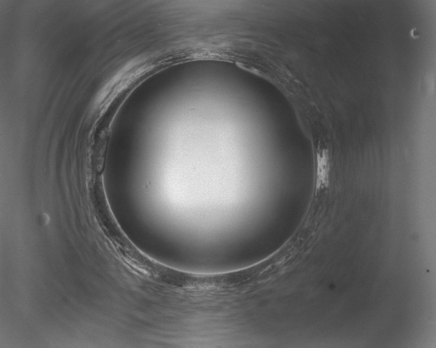 X0000078280291200611031215