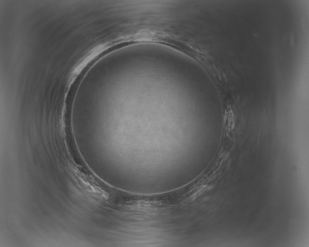 X0000078280292200611031215