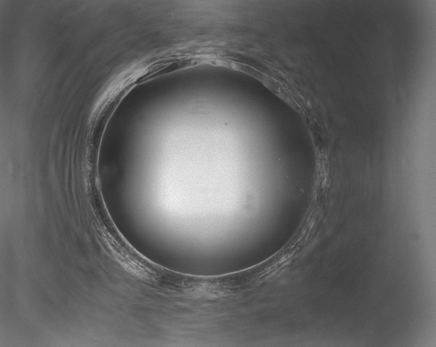 X0000078280293200611031215