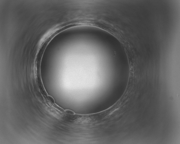 X0000078280294200611031215