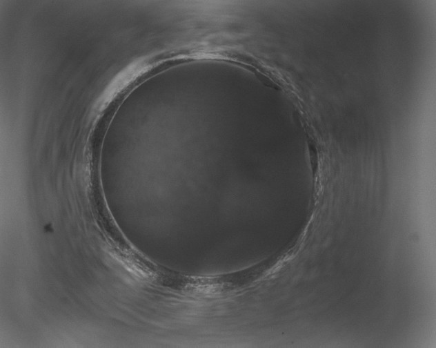 X0000078280295200611031215