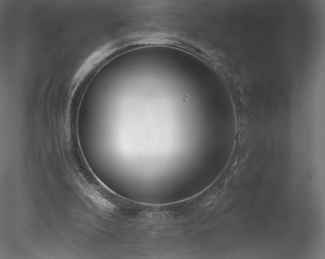 X0000078280296200611031215