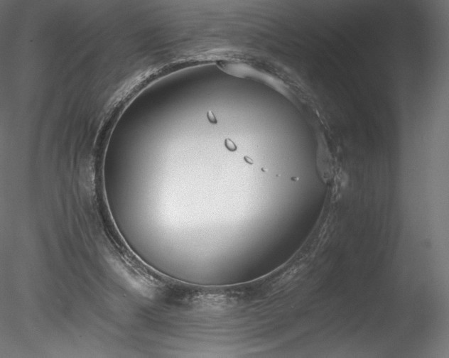 X0000078280298200611031215