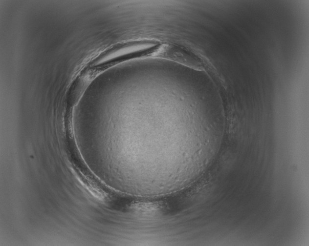 X0000078280299200611031215