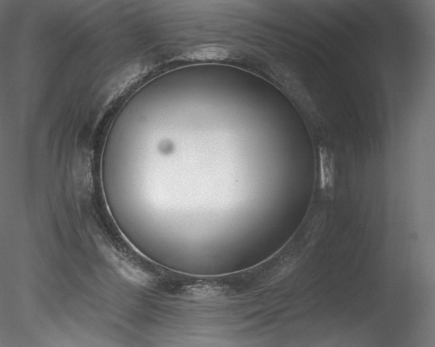 X0000078280300200611031215