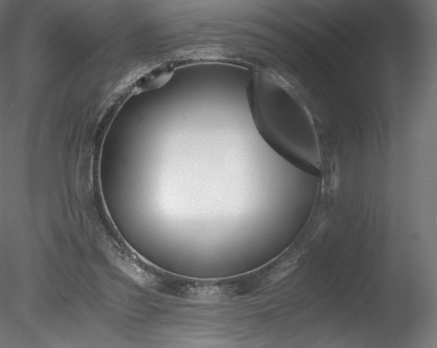 X0000078280301200611031215