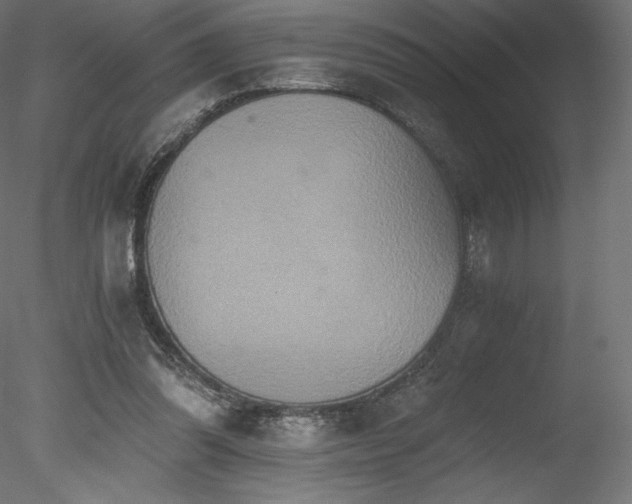 X0000078280302200611031215