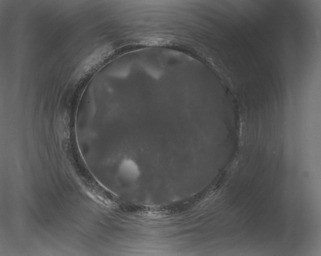 X0000078280303200611031215