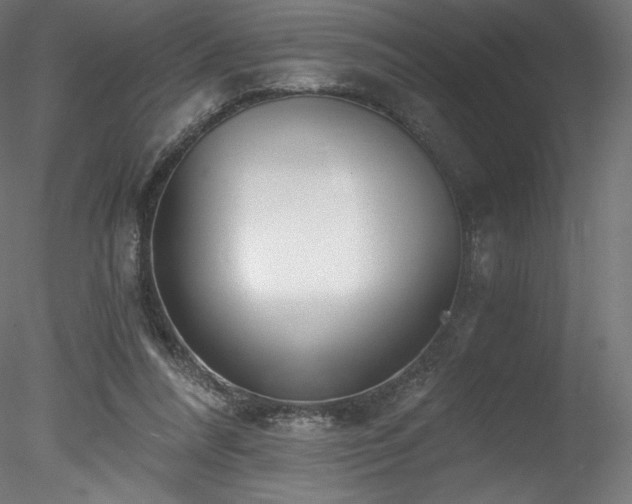 X0000078280304200611031215