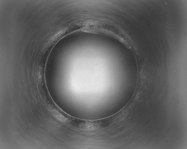 X0000078280305200611031215