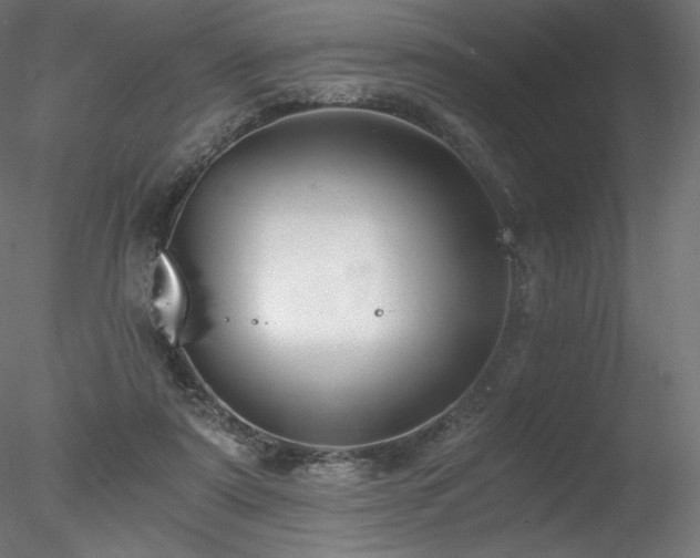 X0000078280307200611031215