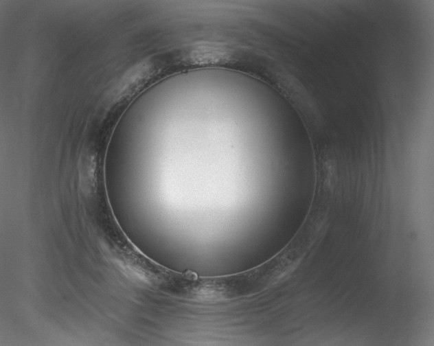 X0000078280308200611031215