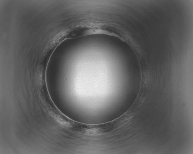 X0000078280309200611031215