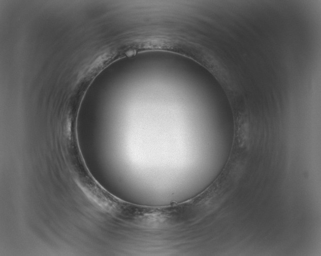 X0000078280310200611031215