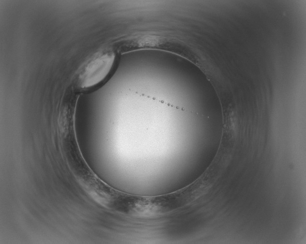 X0000078280311200611031215