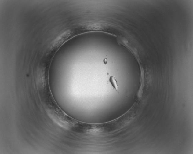 X0000078280312200611031215