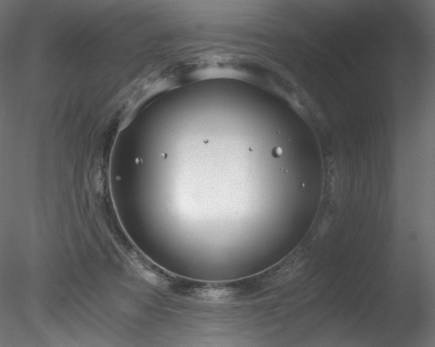 X0000078280313200611031215