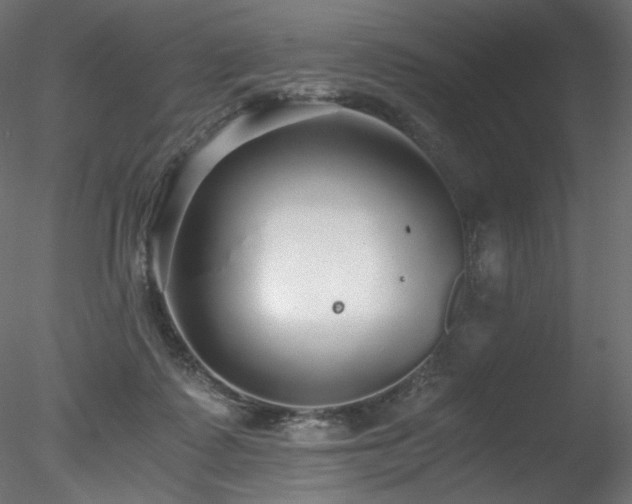 X0000078280315200611031215