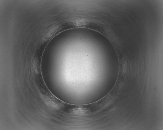 X0000078280316200611031215