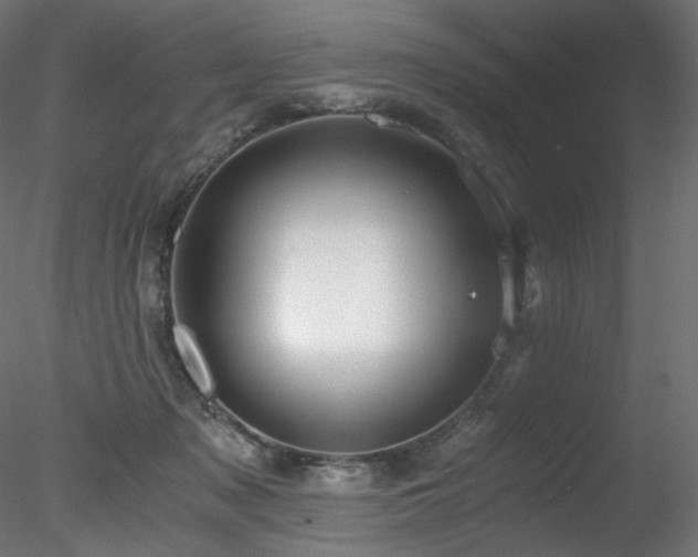 X0000078280317200611031215