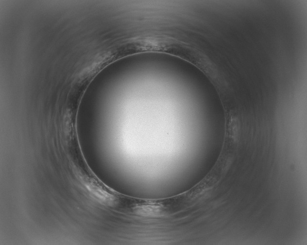 X0000078280318200611031215