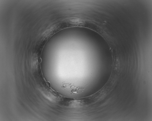 X0000078280320200611031215