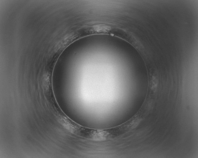 X0000078280321200611031215