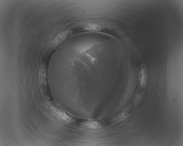 X0000078280322200611031215