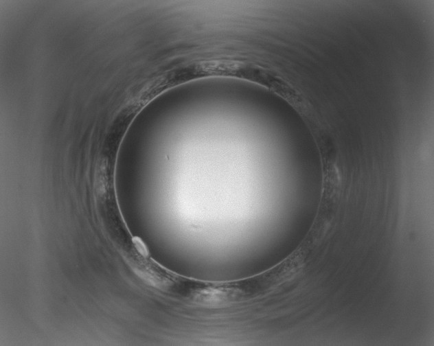 X0000078280323200611031215