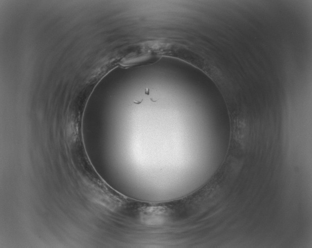 X0000078280324200611031215