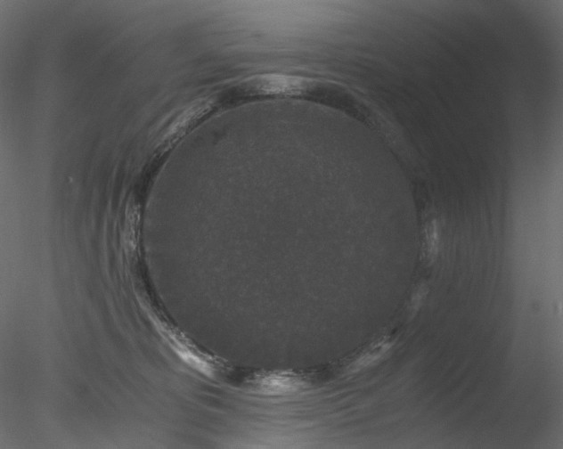 X0000078280325200611031215