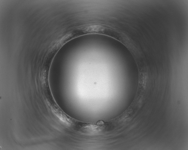 X0000078280326200611031215