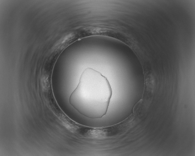 X0000078280327200611031215