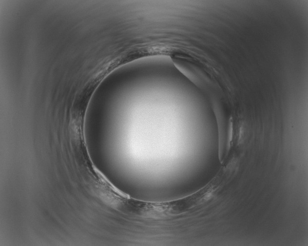 X0000078280329200611031215