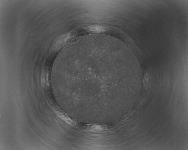 X0000078280330200611031215