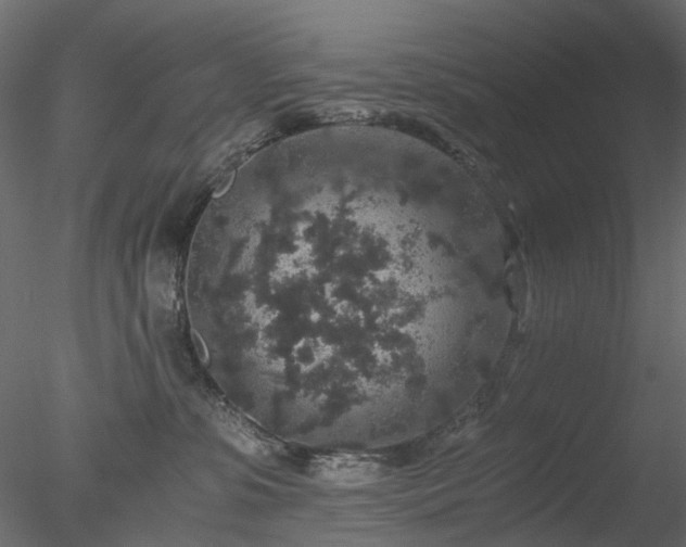 X0000078280331200611031215