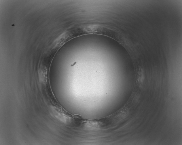 X0000078280332200611031215